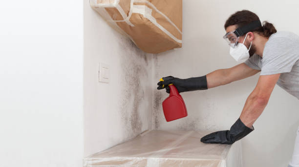 Attic Mold Remediation treatment on roof deck in Rockton